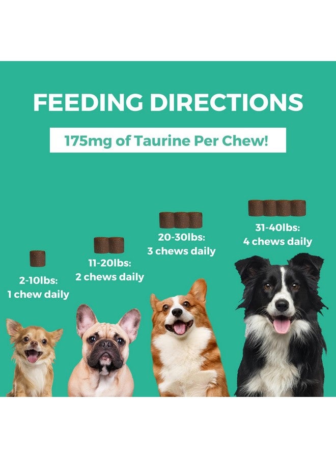 nootie Nootie Progility Mini Multvitamin for Small Dogs, Multivitamin Supplement for Dogs with Taurine, 60 Soft Chews per Container - Image 3