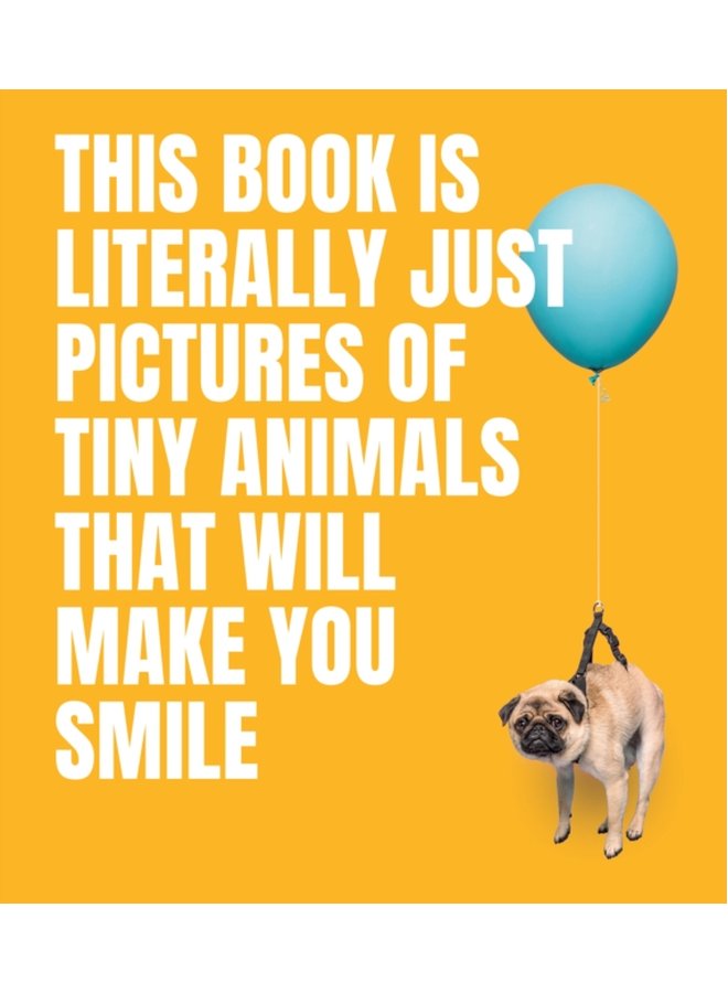 This Book Is Literally Just Pictures of Tiny Animals That Will Make You Smile - Hardback