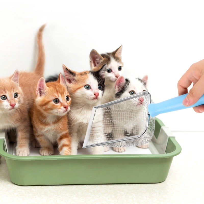 Stainless Steel Litter Shovel Metal Cat Litter Scoop Stainless Steel Sand Substrate Shovel - Image 5