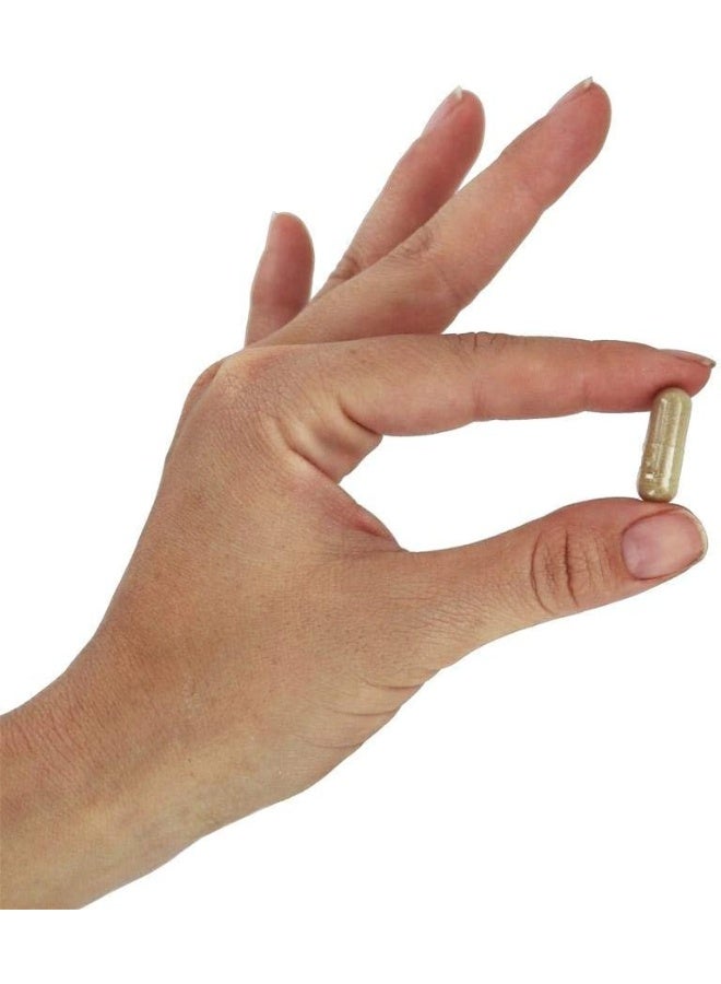 now Foods, Water Out, Fluid Balance, 100 Veggie Caps - Image 5