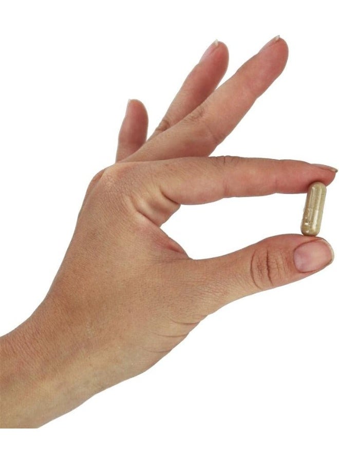 now Foods, Water Out, Fluid Balance, 100 Veggie Caps - Image 4