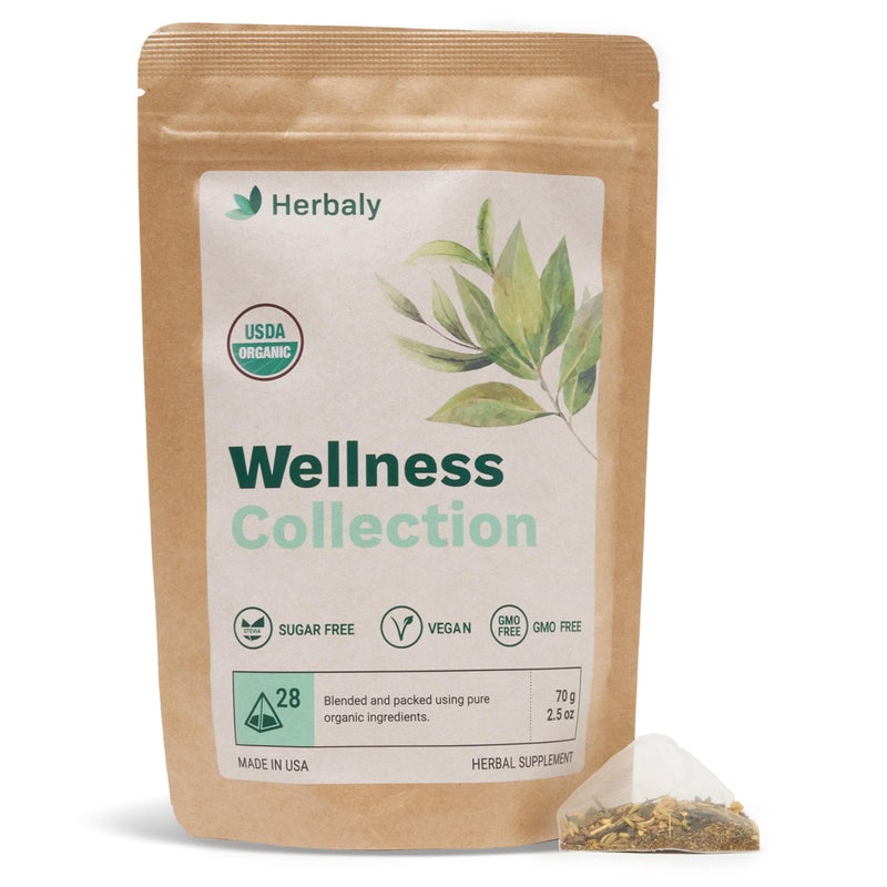 Herbaly Wellness Collection Organic Herbal Ginger Tea, 70 g, 28 Count Bag (Pack of 1) - Image 1