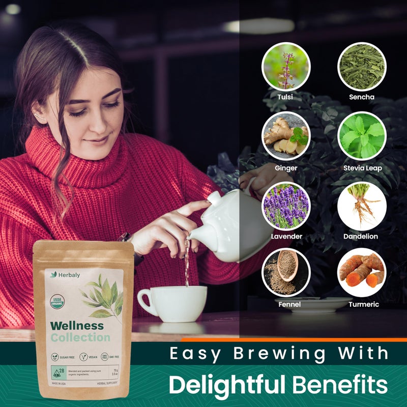 Herbaly Wellness Collection Organic Herbal Ginger Tea, 70 g, 28 Count Bag (Pack of 1) - Image 2