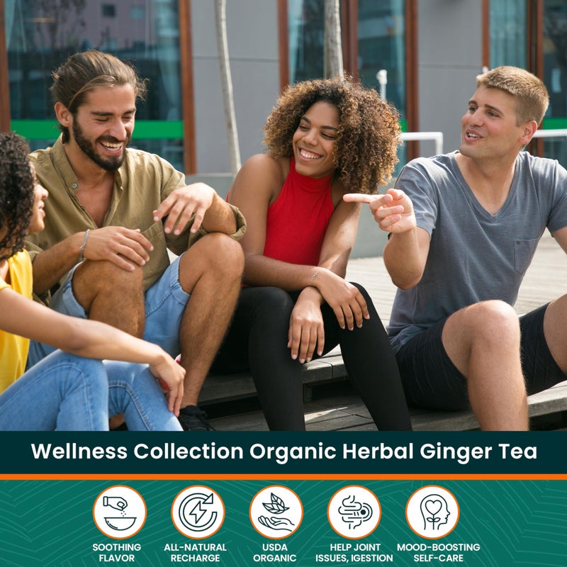 Herbaly Wellness Collection Organic Herbal Ginger Tea, 70 g, 28 Count Bag (Pack of 1) - Image 4