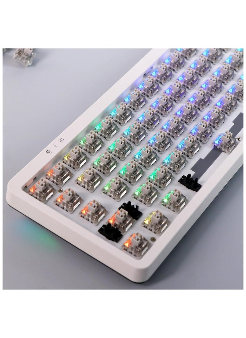 Generic EPOMAKER LEOBOG Graywood V3 Switch Set, Linear, 40g, 3 Pins, 100 Pieces for Customizing Keyboards  - Image 3