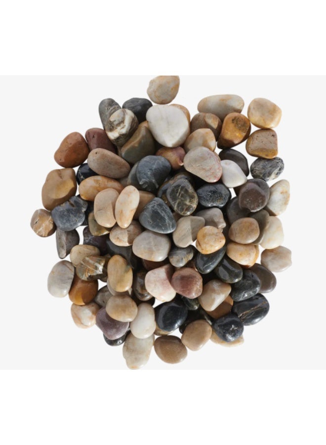 ABYAT Polished Garden Pebbles – 5×3 cm Decorative Outdoor Stones | Beige, Brown & Black Landscaping Rocks - Image 1