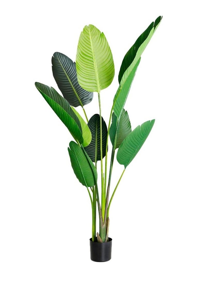 Generic 120cm tall artificial banana tree adds a realistic tropical touch to any indoor space.  - Image 3