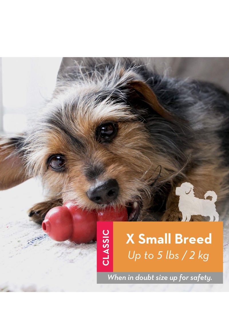 Classic Dog Toy - Durable Natural Rubber - Fun to Chew, Chase and Fetch - For Extra Small Dogs