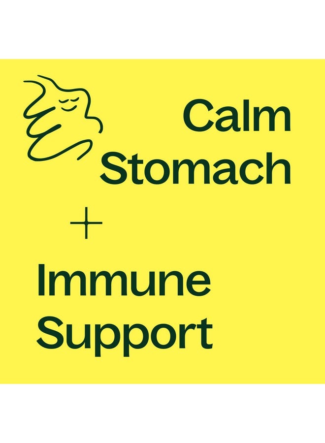 Plant Therapy Ginger Root Capsules Manufactured in USA 4 Month Supply Calms Upset Stomachs, Supports Digestive Immune Health, Potent Extract Supplements for Women & Men 120 Vegetarian Capsule - Image 3