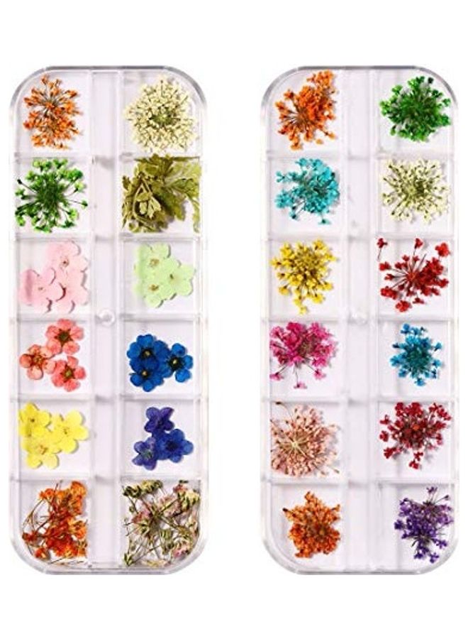 24-Piece Dried Flowers For Nail Art Multicolour - Image 1