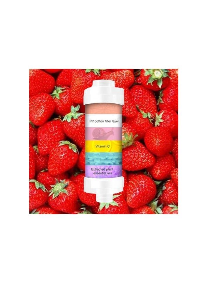 H2O Vitamin C Enhanced Shower Head Filter - Image 2