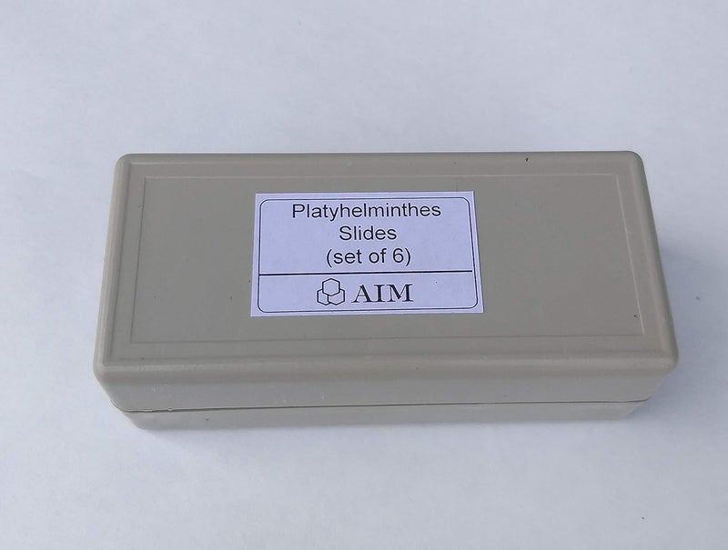 Aim شرائح الديدان المسطحة (مجموعة من 6) - Image 2