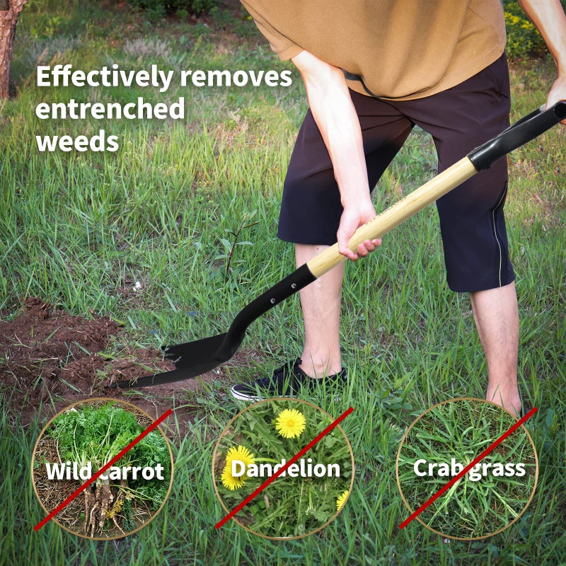 KOLEIYA Flat Shovel,Transfer Shovel with D Handel and Heavy Duty Square Head for Landscaping,Gardening,Construction,Snow Shoveling and Yard Work,41-Inch,Metal+Wooden - Image 2