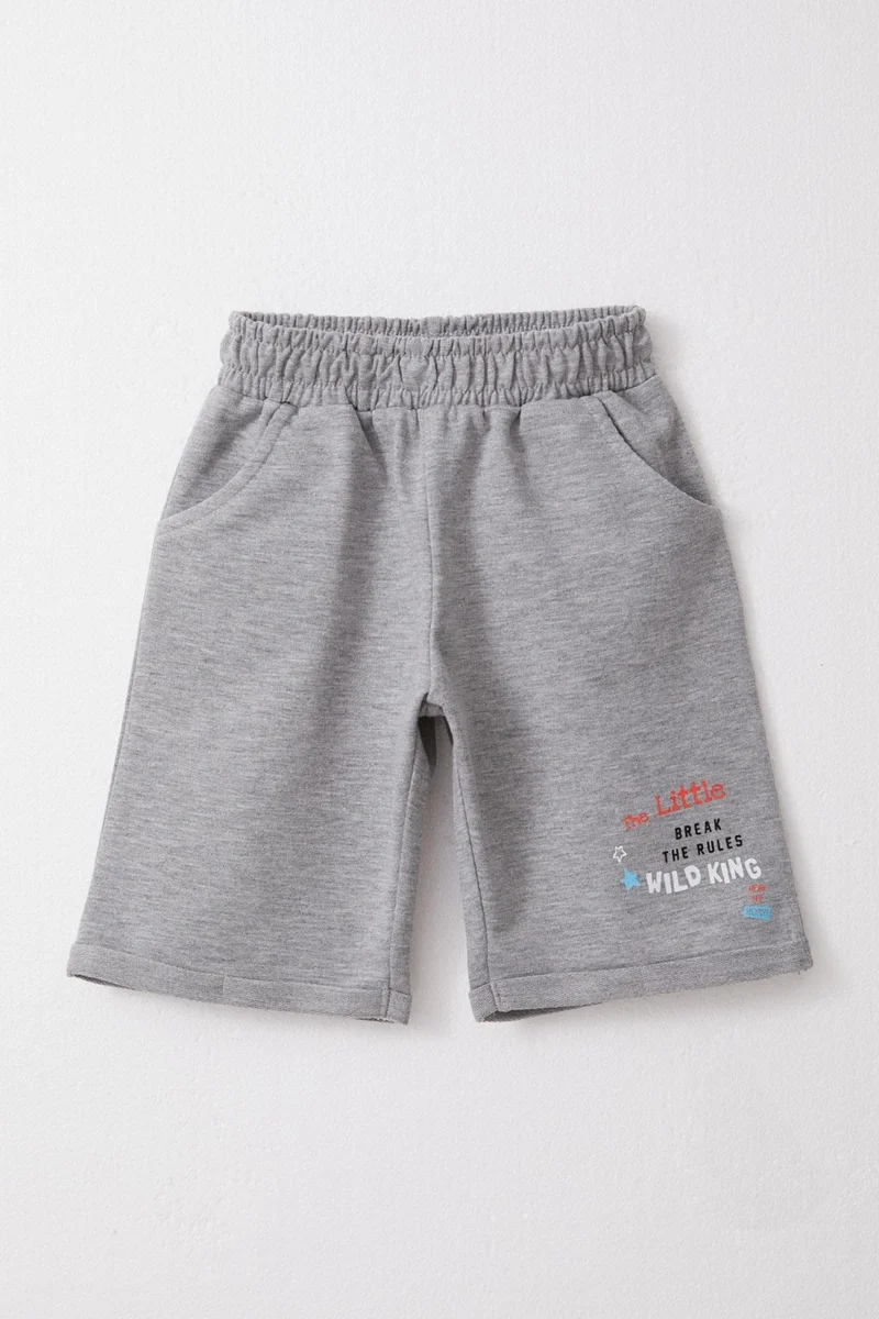Breeze Boy Shorts Set King Lion Printed 1-4 Years, Green
