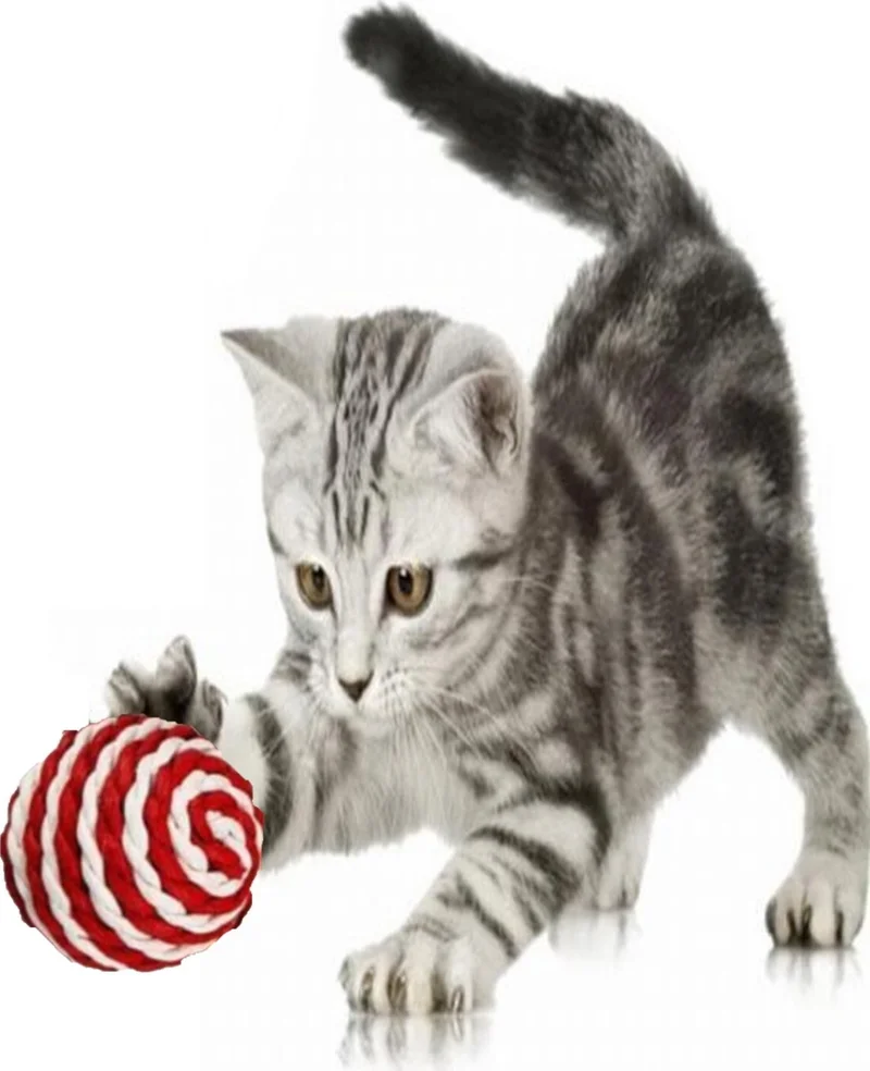 Tineke Rope Wrap Colored Cat Play Ball 5 cm (1 Piece) Cat Toy
