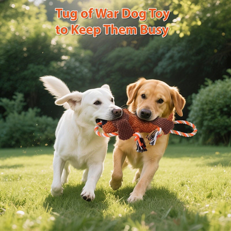 Drmstow Plush Dog Toys with Rope, Squeaker & Crinkle Paper â€“ Interactive Squeaky Chew Toy for Large Dogs & Puppies â€“ Tough Pet Toy for Tug of War, Fetch & Dental Exercise - Image 4