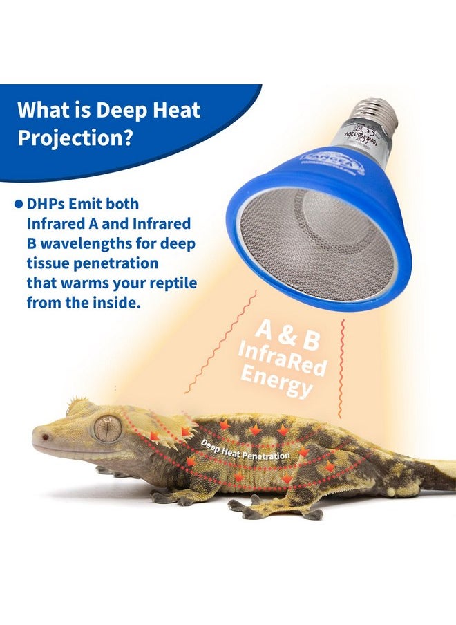 Pangea - Pangea Deep Heat Projector for Reptiles with Carbon Fiber Filament, Deep Warming Infrared A and B Bulb for Basking Reptiles, Designed for Ceramic Sockets (100 Watt) - Image 1
