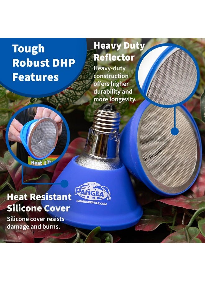 Pangea - Pangea Deep Heat Projector for Reptiles with Carbon Fiber Filament, Deep Warming Infrared A and B Bulb for Basking Reptiles, Designed for Ceramic Sockets (100 Watt) - Image 1
