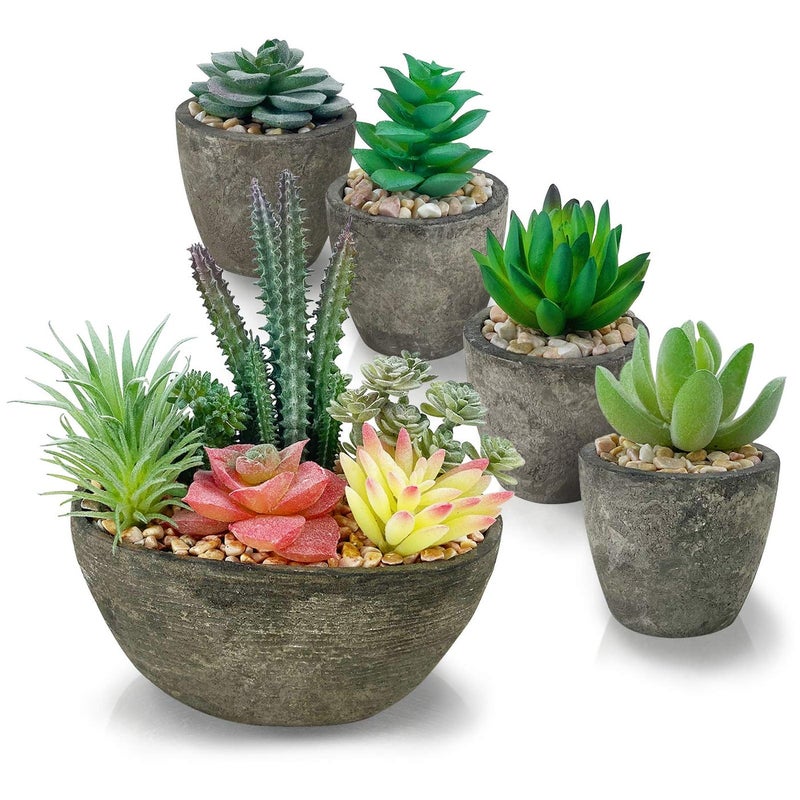 Succulents Plants Artificial Set of 5 Realistic Fake Succulents with Cement Like Pots for Home Office Decoration