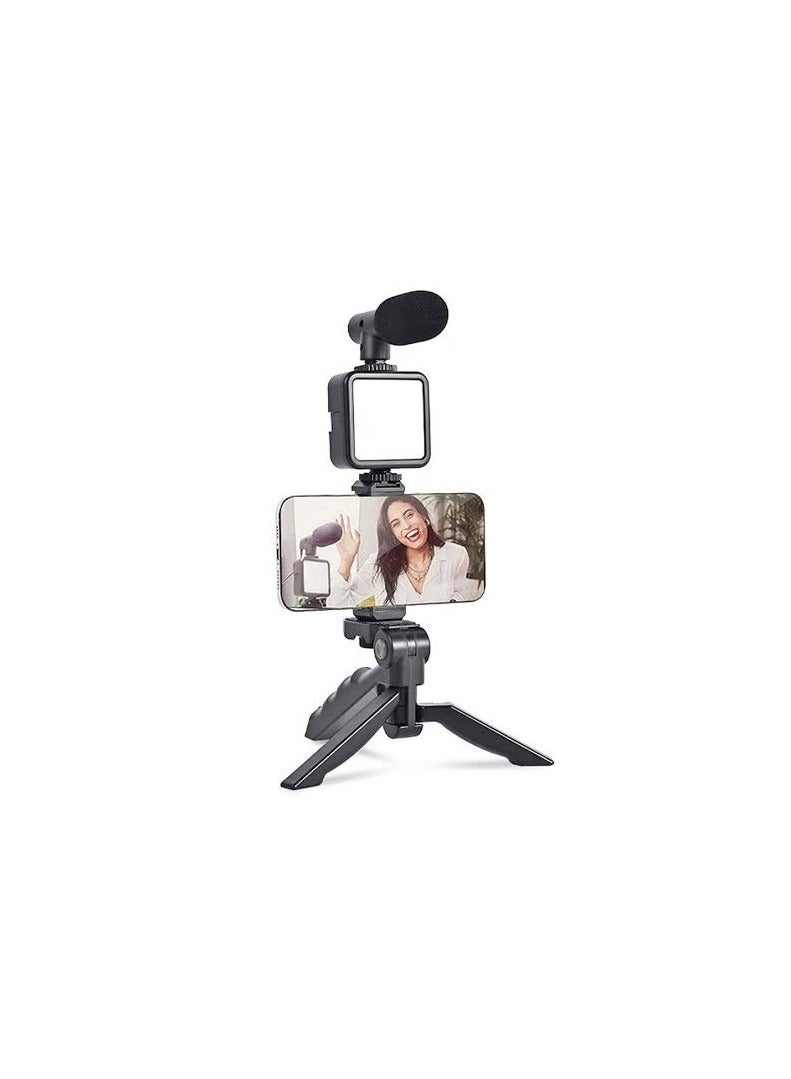 The PK-773 Video Maker has one microphone, a remote control, and a handy steady LED light - Image 3