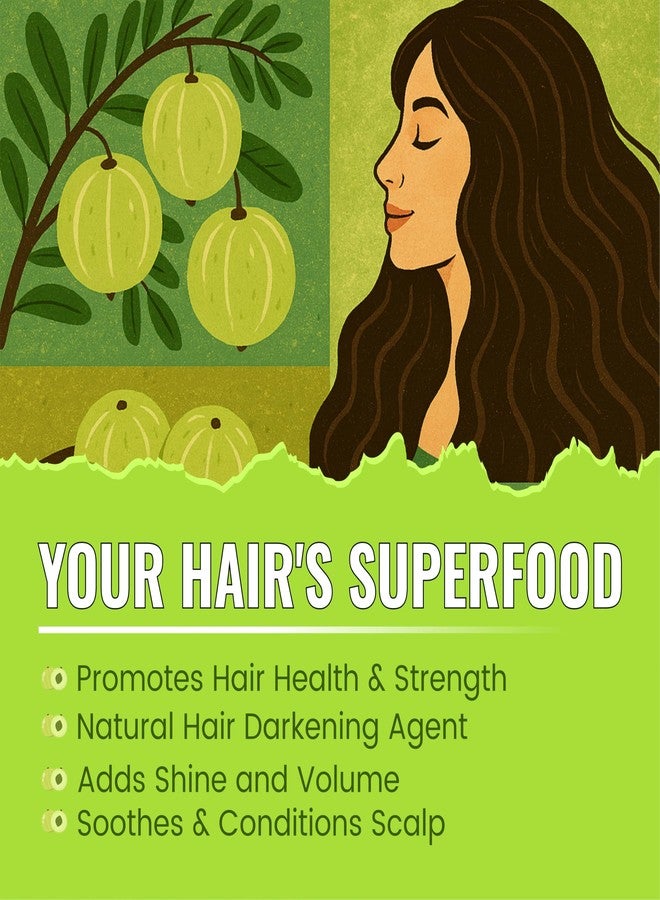 BRALCON Amla Powder 100g || 100% Natural Amla Indian Gooseberry Fruit Powder for Hair 100g Pack - Image 4