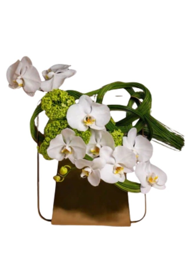 Mother's Day Arabian orchid plant