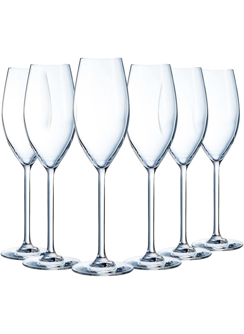 شيف & سوميلير كأس شمبانيا كبير E6250 من شيف آند سوميلير، سعة 8 أونصة، كريستال كريستا، شفاف، فائق المتانة ومقاوم للخدش، آمن للاستخدام في غسالة الأطباق، صنع في فرنسا. - Image 4