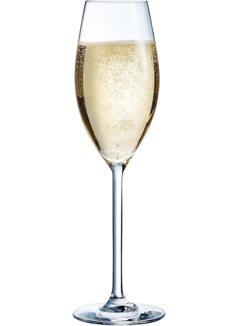 شيف & سوميلير كأس شمبانيا كبير E6250 من شيف آند سوميلير، سعة 8 أونصة، كريستال كريستا، شفاف، فائق المتانة ومقاوم للخدش، آمن للاستخدام في غسالة الأطباق، صنع في فرنسا. - Image 3