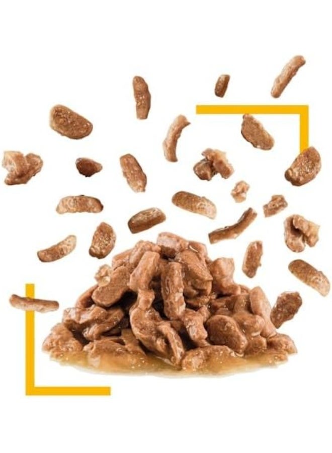 Royal Canin Feline Health Nutrition Sensory Taste Gravy - Image 4