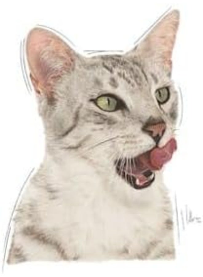 Royal Canin Feline Health Nutrition Sensory Taste Gravy - Image 5