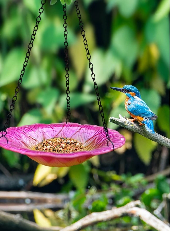 Hanging Glass Bird Bath and Feeder for Outdoor Gardens, Yards, and Patios - Versatile Bird Bath Tray for Water or Bird Seed in Your Outdoor Space. - Image 2