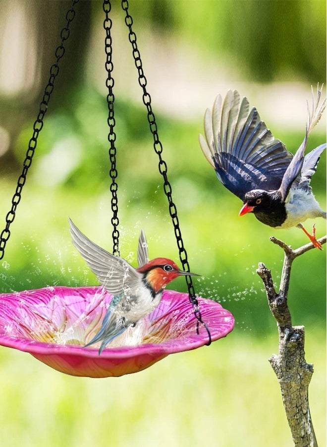 Hanging Glass Bird Bath and Feeder for Outdoor Gardens, Yards, and Patios - Versatile Bird Bath Tray for Water or Bird Seed in Your Outdoor Space. - Image 3