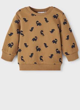 Infant Dino Print Sweatshirt