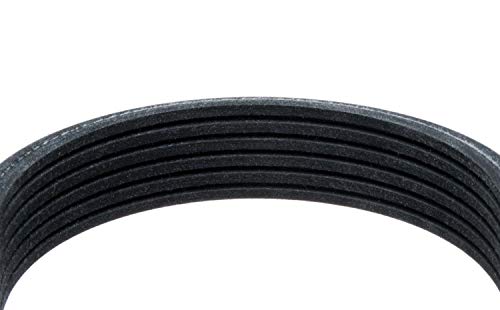 Goodyear Belts 2050565 Dual Sided Serpentine Belt, 5-Rib, 56.5" Length - Image 3