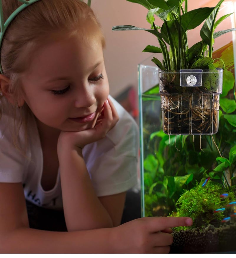 Scroll Store Store Aquarium Plant Holder Pack of 2 | Hanging Pot Cup for Aquascaping, Aquaponic Plant Growth & Fish Tank Decoration - Image 2