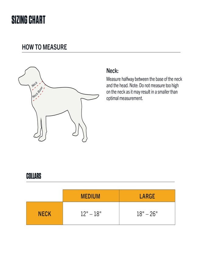 كارهارت طوق كارهاارت جير P0000568 للكلاب الميدانية، متوسط الحجم، من سيبروك - Image 4