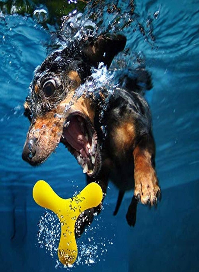 Black Dog EETOYS Dog Toys for Pets,Durable Drats Nearly Indestructible Flying Drats Dog Toy for Supper Toy Interactive Fetch & Play with Dogs, Small Medium Large Dogs/Puppies Update Toys (Large) - Image 4