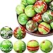 Kasyat 24 Pcs Christmas Stress Ball Bulk 25 Inch Christmas Green Foam PU Stress Relief Balls Relief Squeeze Xmas Balls Toys for Party Favors Stocking Stuffers Gifts Goodie Bag Fillers - Image 2