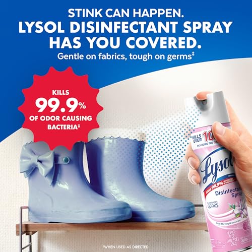 Lysol Disinfectant Spray, Sanitizing and Antibacterial Spray, For Disinfecting and Deodorizing, Early Morning Breeze, 1 Count, 19 fl oz each - Image 5