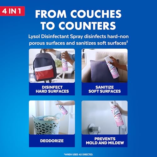 Lysol Disinfectant Spray, Sanitizing and Antibacterial Spray, For Disinfecting and Deodorizing, Early Morning Breeze, 1 Count, 19 fl oz each - Image 3