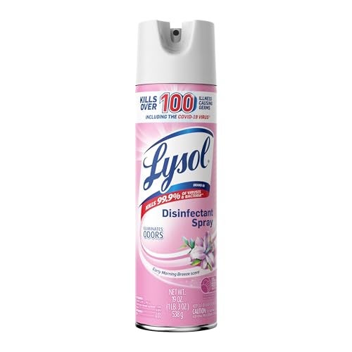 Lysol Disinfectant Spray, Sanitizing and Antibacterial Spray, For Disinfecting and Deodorizing, Early Morning Breeze, 1 Count, 19 fl oz each - Image 1