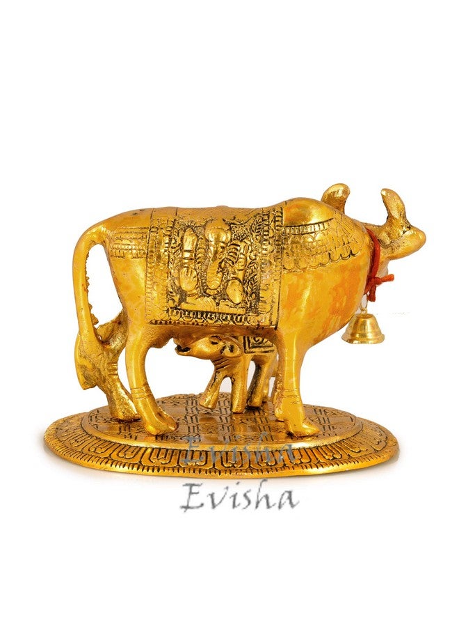 Evisha Golden Cow and Calf Kamdhenu Brass Statue Antique Finish Indian Temple Puja Home Décor and Gifting (Golden Cow Calf) - Image 5
