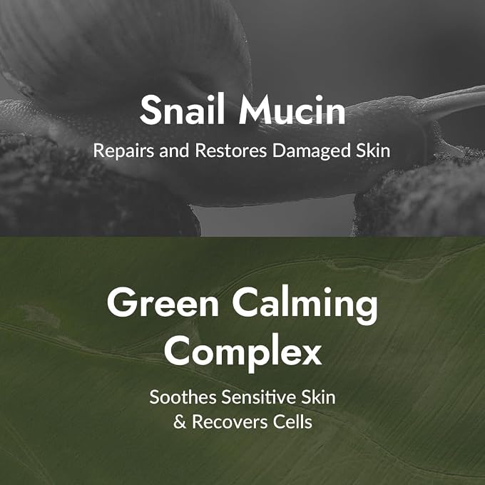 Mizon All-In-One Snail Repair Cream, 75Ml,[001Kr] - Image 3
