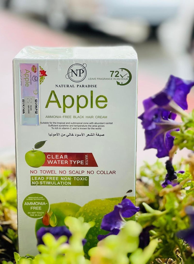 Natural Paradise Natural Paradise Apple 72 Ammonia Free Black Hair Color Cream 500ml + 500ml - Image 1