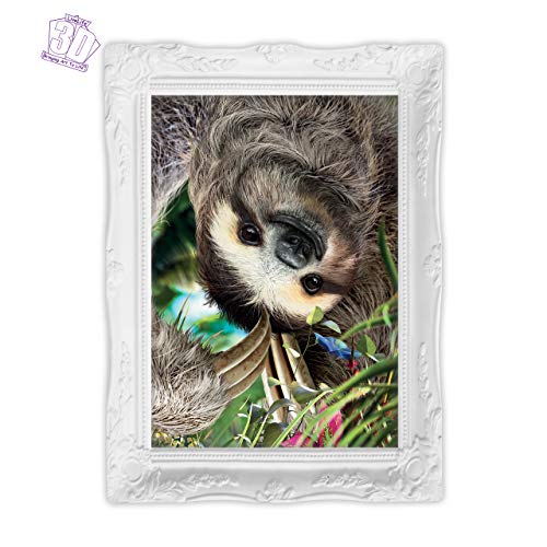 3D LiveLife Lenticular Wall Art Prints - Hangin' Around from Deluxebase. Unframed 3D Sloth Poster. Perfect wall decor. Original artwork licensed from renowned artist, David Penfound - Image 5