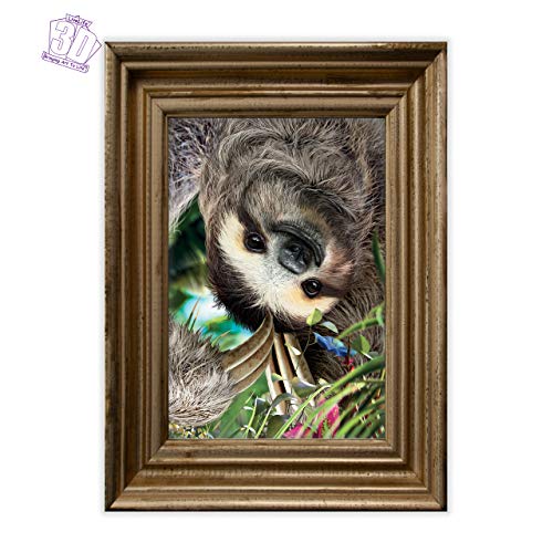 3D LiveLife Lenticular Wall Art Prints - Hangin' Around from Deluxebase. Unframed 3D Sloth Poster. Perfect wall decor. Original artwork licensed from renowned artist, David Penfound - Image 4