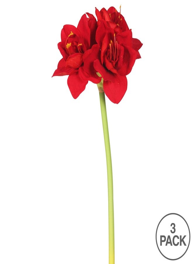 Vickerman 28" Artificial Single Red Velvet Amaryllis Stem, Set of 3 - Image 3