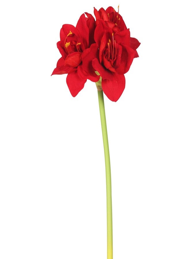 Vickerman 28" Artificial Single Red Velvet Amaryllis Stem, Set of 3 - Image 1