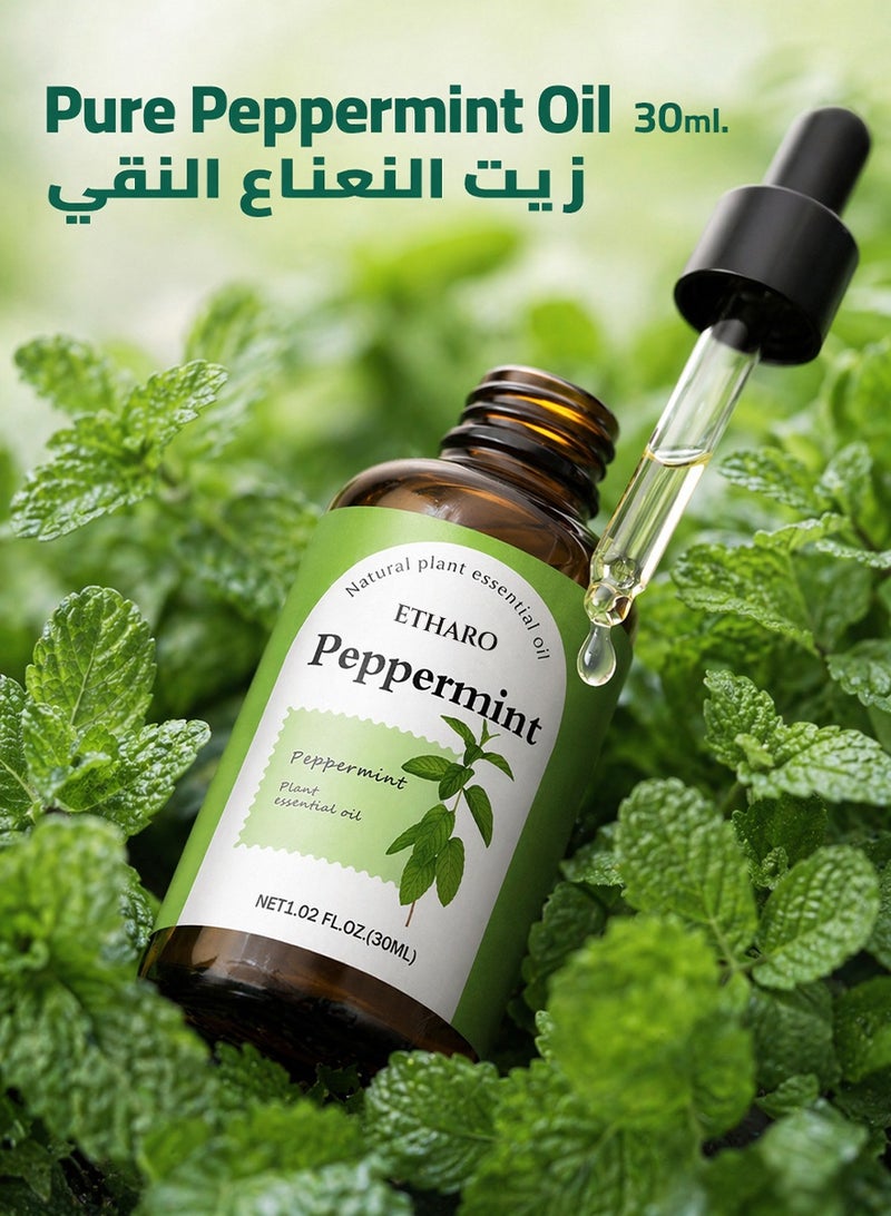 ETHARO Peppermint Essential Oil 30ml – Naturally Distilled Aromatic Oil with a Fresh, Cooling Mint Aroma for a Clean & Refreshing Ambience - Image 2