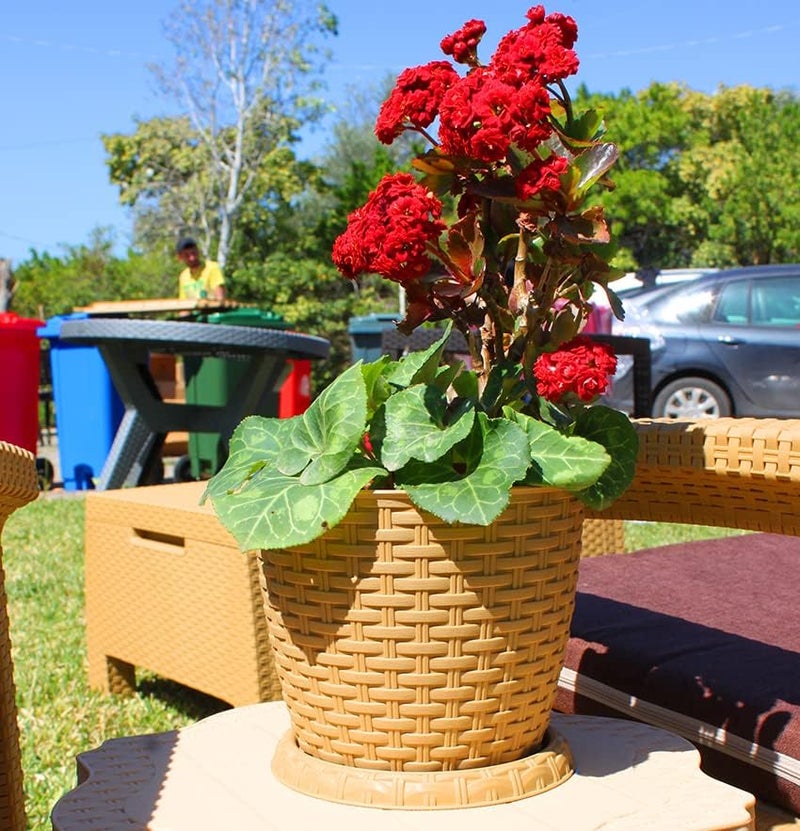 Marcolo Rosa 20cm Rattan Flowerpot - Elegant Rattan Design for Indoor and Outdoor Use - Image 3